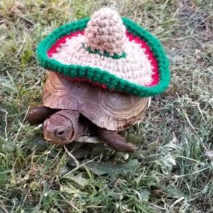 Meet your Posher, Andy